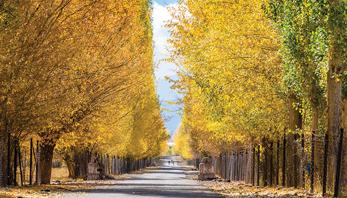 Top Destinations to Experience the Best of Autumn with Brightsun Travel